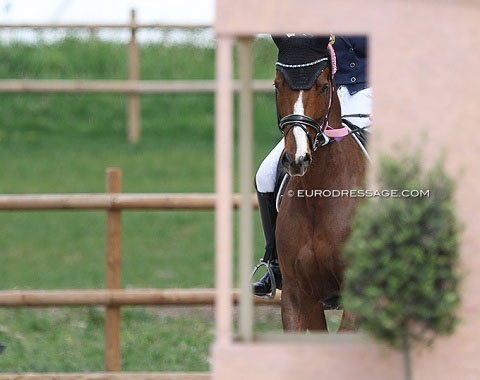 German Young Rider Looking for National or International YR Horse to Lease :: Photo just as illustration © Astrid Appels