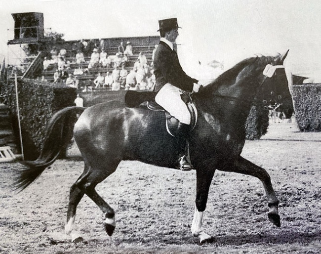 Ulla Hakanson and Ajax competing in Aachen