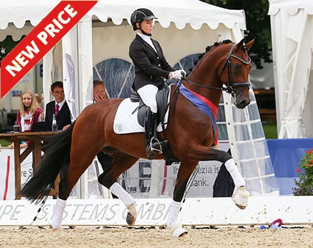 Fidermann OLD, Oldenburg Young Horse Champion :: Photo © LL-foto