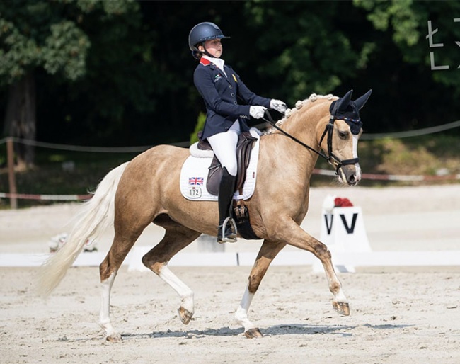 Ruby Hughes and Hilkens Showgirl :: Photo © Lukasz Kowalski