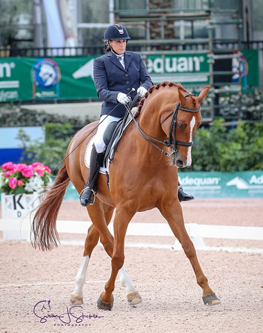 Lee Garrod and Question at the 2020 CPEDI Wellington :: Photo © Sue Stickle