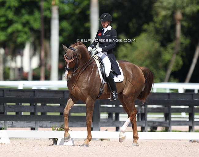 Susan Pape and Bourani at the 2020 CDN Wellington :: Photo © Astrid Appels