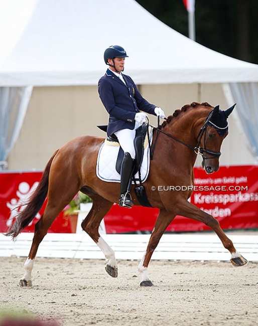 Tom Heylen and Quberon van het Beukenhof at the 2021 World Young Horse Championships :: Photo © Astrid Appels