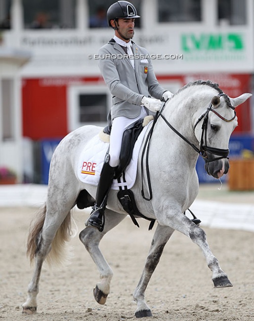 Alejandro Sanchez del Barco and Trapalo de Indalo at the 2021 World Young Horse Championships :: Photo © Astrid Appels