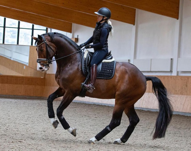 Anna Zibrandtsen on Igeral D