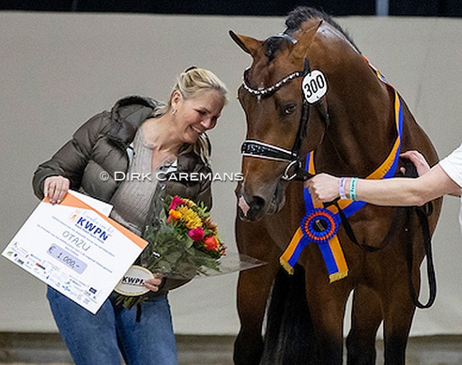 Willeke Bos with premium colt Otazu at the 2022 KWPN Stallion Licensing :: Photo © Dirk Caremans