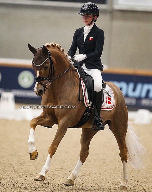 Josephine Gert Nielsen and Kastanienhof Crimson Gold at their CDI debut in Opglabbeek, Belgium in March 2022 :: Photo © Astrid Appels