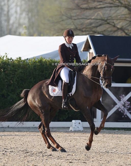 Mathilde Château on Escobar H at the 2022 CDI Sint-Truiden :: Photo © Astrid Appels