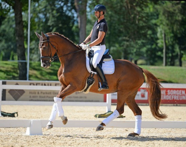 Martin Hauptmann and Quantum Gluck at the Austrian WCYH selection trial :: Photo © Katharina Brandstetter