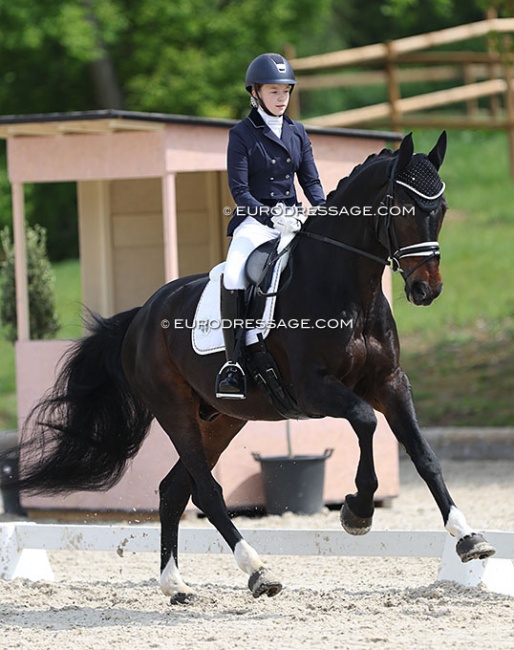 Emelie Hertwig and Diamond’s Rubioso at the 2022 CDI Troisdorf :: Photo © Astrid Appels - no reproduction allowed