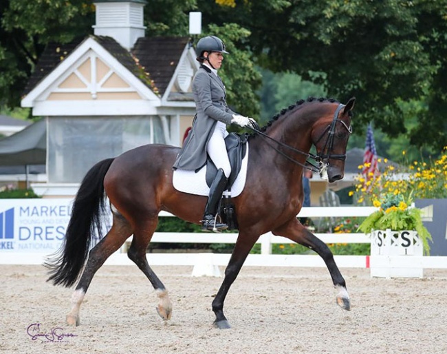 Olivia Lagoy-Weltz and Johnny Be Goode in the Developing PSG Horse Class at the 2022 U.S. Dressage Championships :: Photo © Sue Stickle