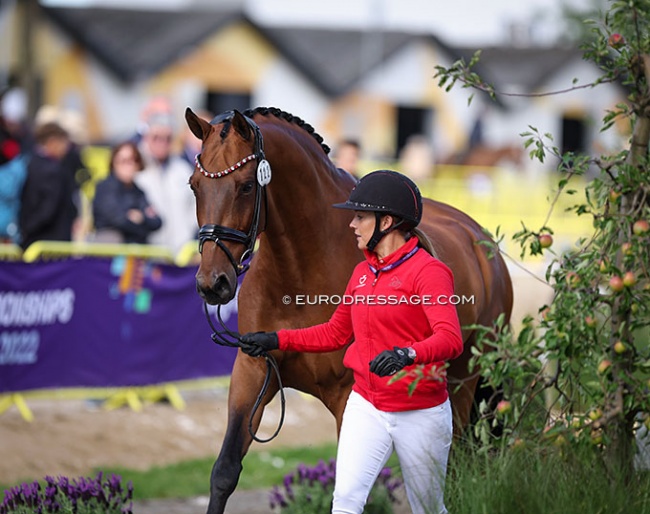 Catherine Dufour and Vamos Amigos at the horse inspection for the 2022 World Championships Dressage in Herning :: Photo © Astrid Appels