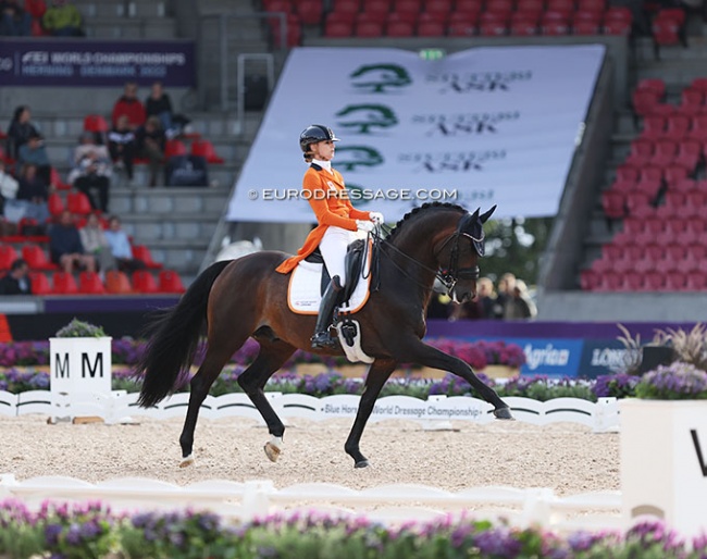 Dinja van Liere and Hermes at the 2022 World Championships Dressage in Herning :: Photo © Astrid Appels