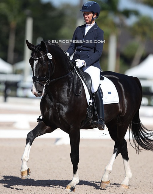 Sabine Schut-Kery on Gorgeous Latino at the 2022 CDN Wellington :: Photo © Astrid Appels
