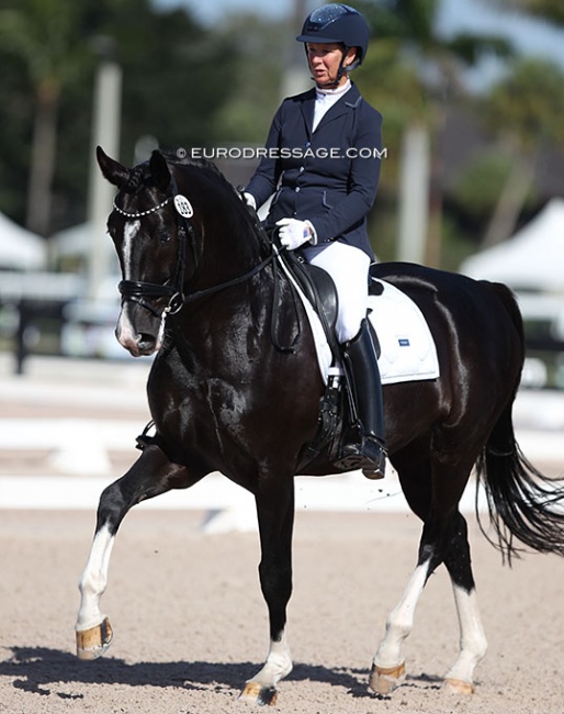 Sabine Schut-Kery on Gorgeous Latino at the 2022 CDN Wellington :: Photo © Astrid Appels