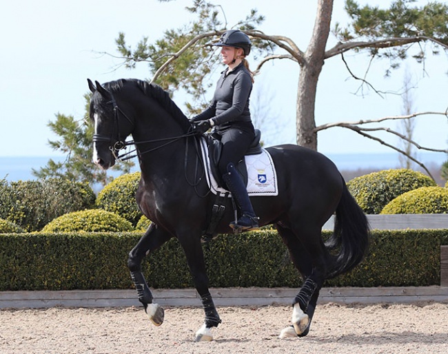 Sofie Lexner and Janeiro Platinum at Christinelund Dressage
