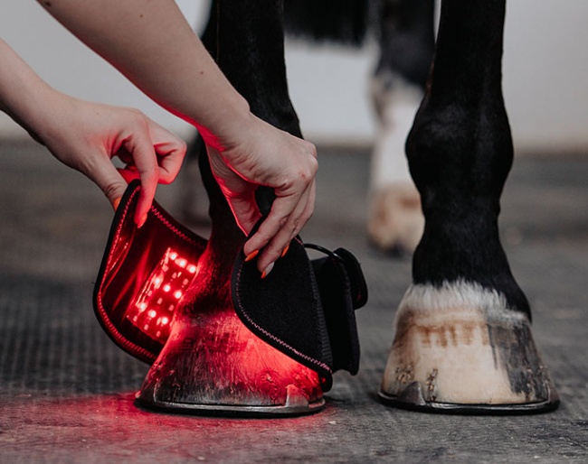 Infrapower, red- & infrared treatment for well-being of your horse.  