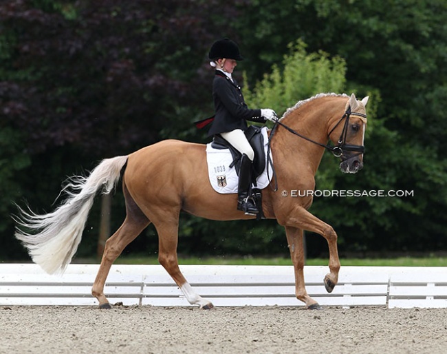 The 11-year old Semmieke Rothenberger on the 19-year old Domino Dancing at the 2011 CDIO-P Hagen :: Photo © Astrid Appels