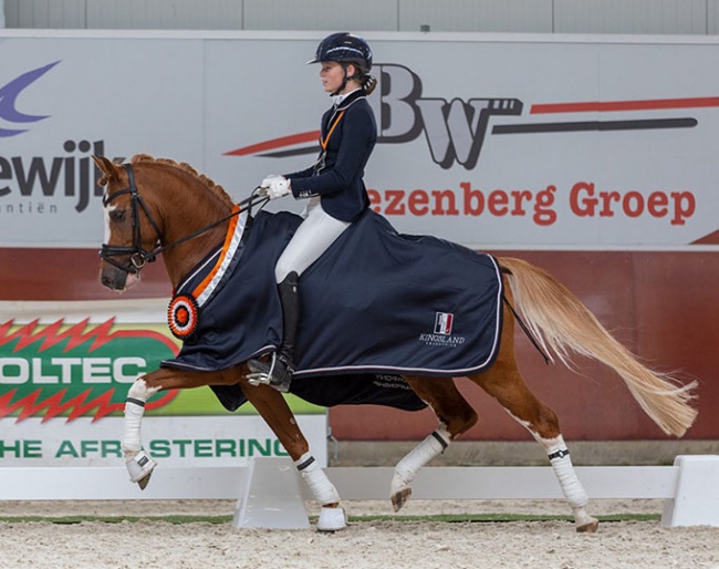 Sophie van Iwaarden and  Mochyndaear Dragonfly in Amber win the 4-year old division at the 2022 Dutch Young Pony Championships :: Photo © Dutch Young Pony Championship