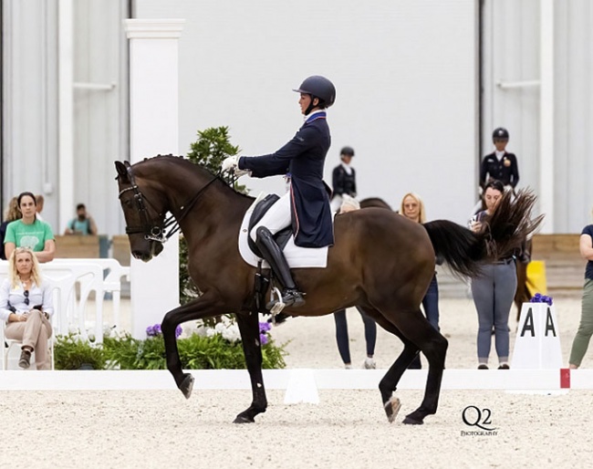 Anna Marek and Fire Fly at the 2022 CDI Ocala :: Photo © Q2 Photography
