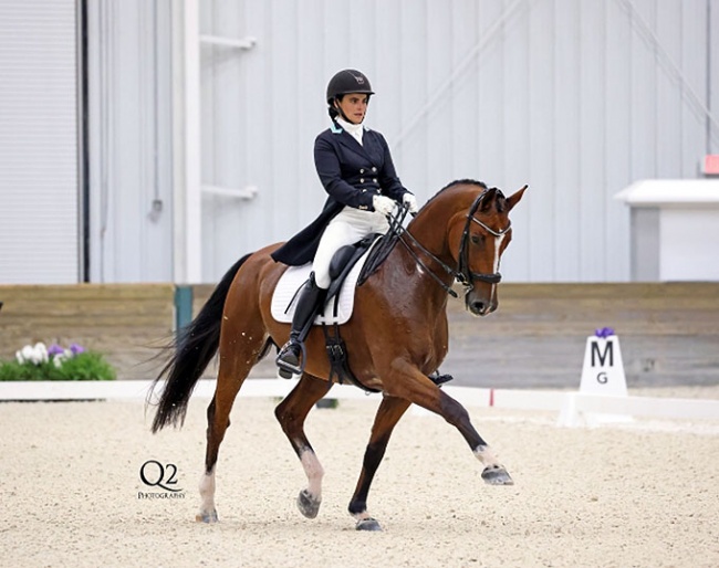 Amanda Owen on Franklin at the 2022 CDI Ocala :: Photo © Q2 Photography