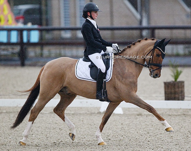 Josephine Gert Nielsen and Strandgaards Doleys at the 2022 CDI Opglabbeek :: Photo © Astrid Appels