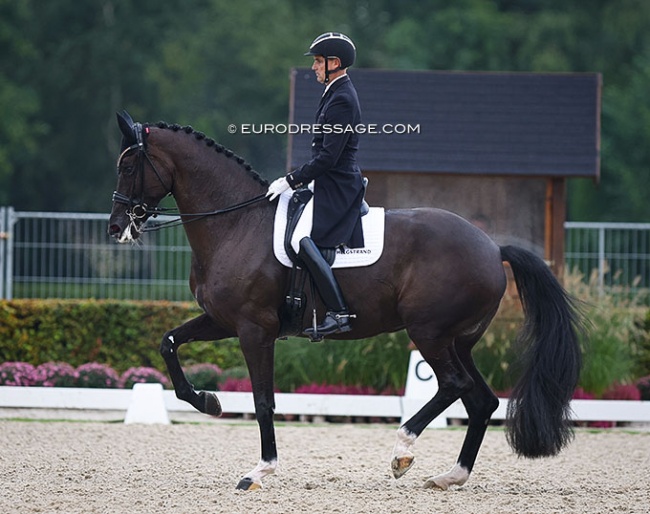 Andreas Helgstrand on Queenparks Wendy at the 2022 CDI Ermelo :: Photo © Astrid Appels