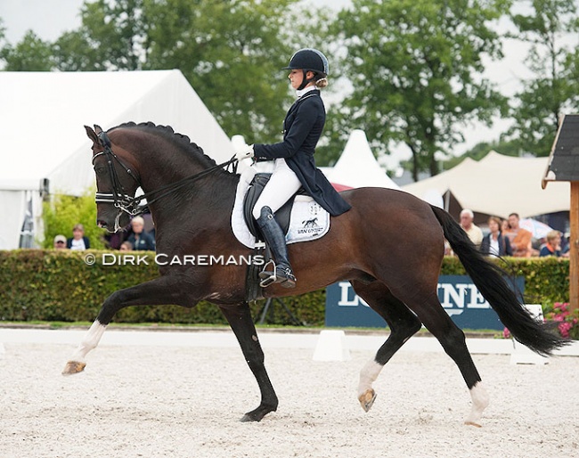 Dinja van Liere and Zhivago at the 2016 CDI Ermelo during the World Young Horse Championships :: Photo © Dirk Caremans