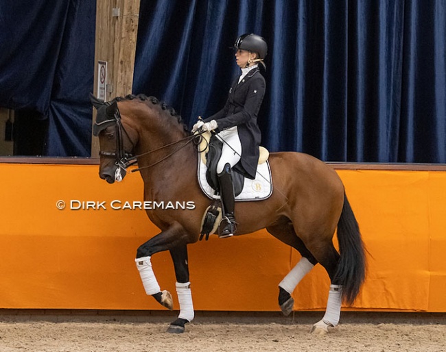 Kirsten Brouwer and Ghandi at the stallion presentation of the 2021 KWPN Stallion Licensing :: Photo © Dirk Caremans