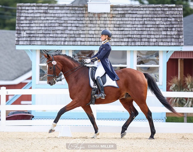 Erin Bonneville on Qennett HTF at the 2022 Dressage at Devon CDI-W :: Photo © Emma Miller