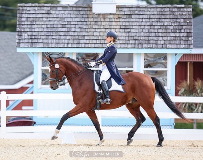 Erin Bonneville on Qennett HTF at the 2022 Dressage at Devon CDI-W :: Photo © Emma Miller