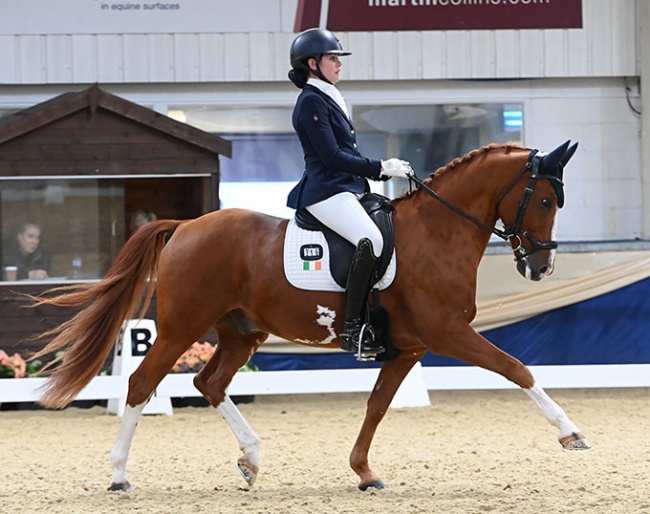 Ireland's Ellen MacDonald on pony Dante Alighieri at the 2022 CDI Keysoe :: Photo © Kevin Sparrow