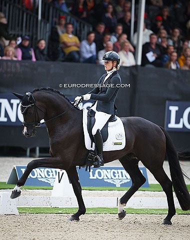 Franka Loos and Racoon at the 2022 World Young Horse Championships in Ermelo :: Photo © Astrid Appels