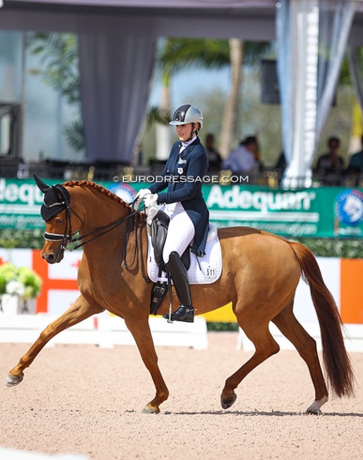 Lauren Asher and Honnerups Event at the 2018 CDI Wellington :: Photo © Astrid Appels