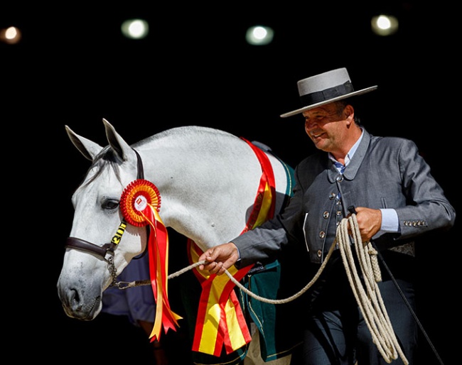 The beauty of the PRE horse celebrated at SICAB in Seville :: Photo © Lily Forado