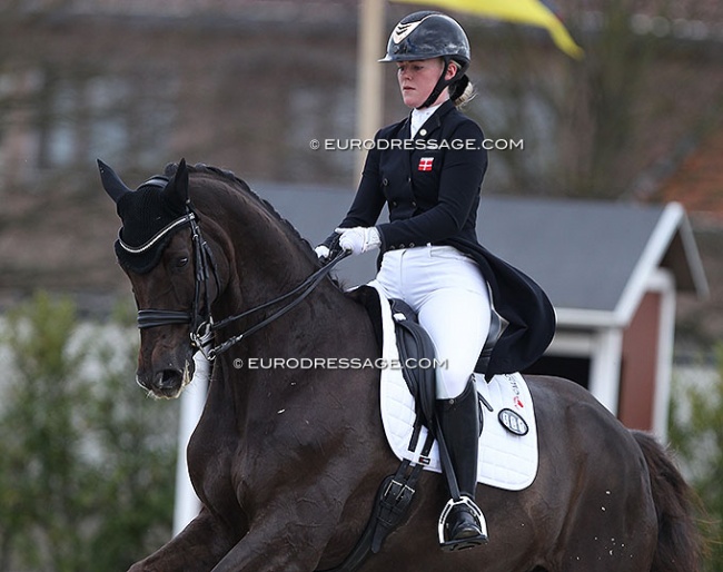 Josefine Hoffmann and Honnerups Driver at the 2021 CDI Sint-Truiden in Belgium :: Photo © Astrid Appels