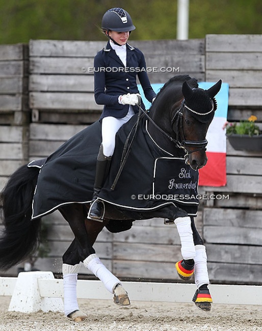 Plastron Frida, Riding, Dressage