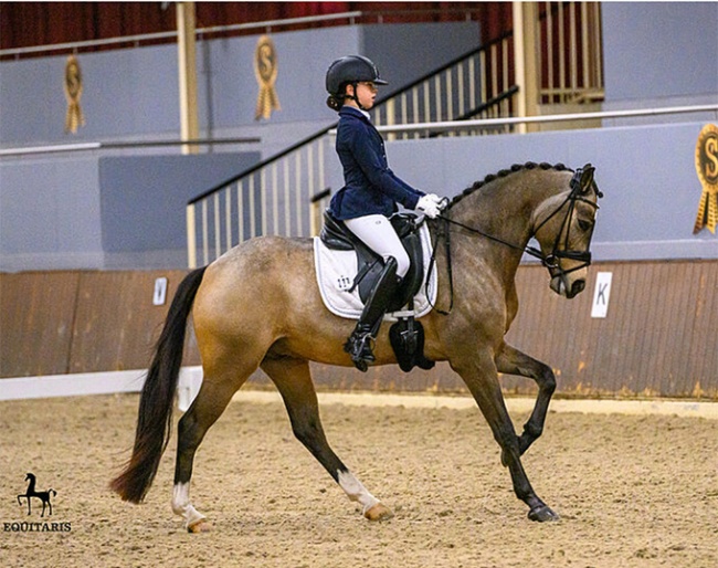 Madlin Tillmann on Mister Prime Time at the 2022 German Developing Pony Rider Championship in Ankum :: Photo © Equitaris