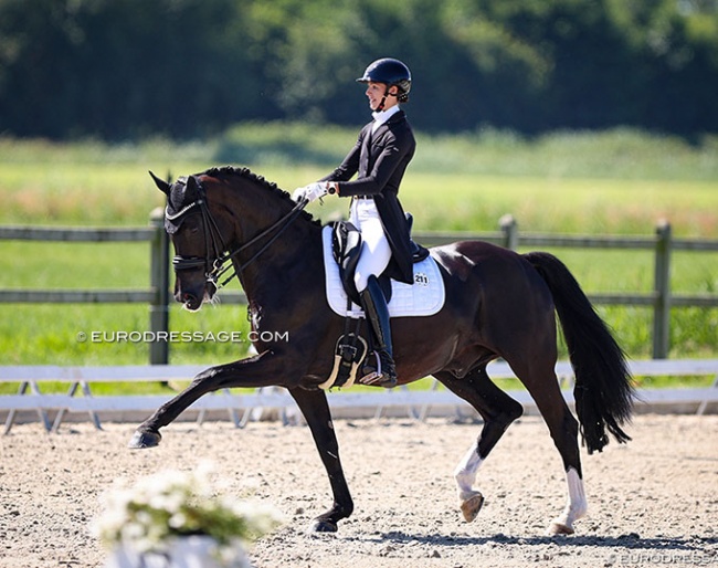 Philine Brunner and Straight Horse Don Tamino at the 2022 CDI Meerle :: Photo © Astrid Appels