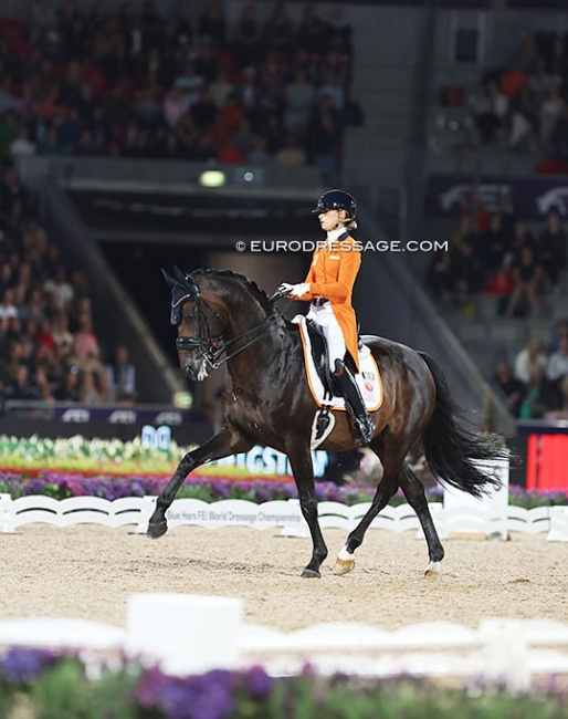 Dinja van Liere and Hermes at the 2022 World Championships Dressage in Herning :: Photo © Astrid Appels
