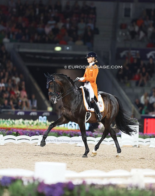 Dinja van Liere and Hermes at the 2022 World Championships Dressage in Herning :: Photo © Astrid Appels