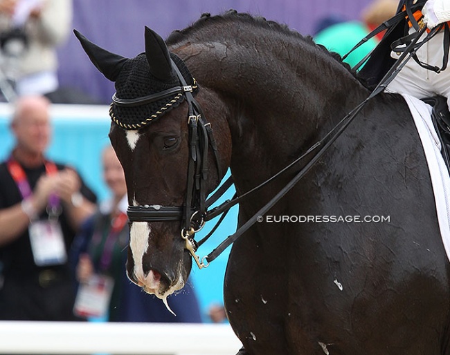 Salinero at his third Olympics Games in London 2012 :: Photo © Astrid Appels