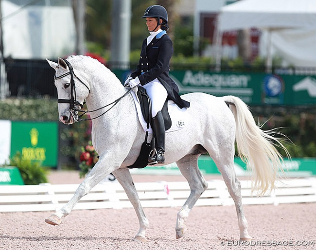 Susanne Hamilton and Lord Locksley at the 2016 CDI Wellington :: Photo © Astrid Appels