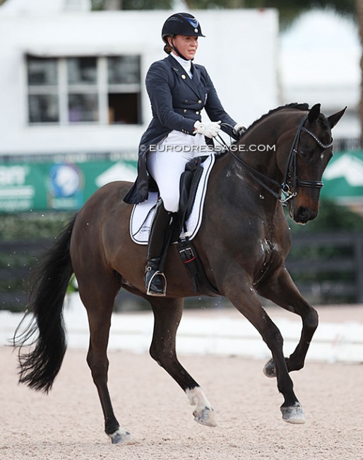 Esther Mortimer competing Linosso at the 2018 CDI Wellington :: Photo © Astrid Appels