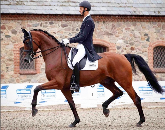 A new comer on the Danish Under 25 squad, show jumping rider Adam Sparlund Olesen who made his international show debut this year in Falsterbo on  Feldborgs Lantano (by Tailormade Lancelot x Rendezvous II) :: Photo © Ridehesten