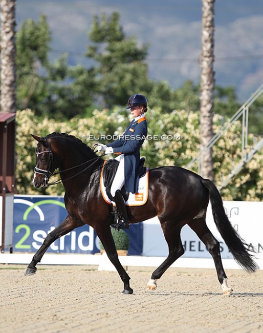 Robin Heiden and Jivando S at the 2021 European Junior Riders Championships :: Photo © Astrid Appels