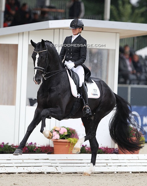 Marieke van der Putten and powerhouse Jameson at the 2021 World Young Horse Championships in Verden :: Photo © Astrid Appels