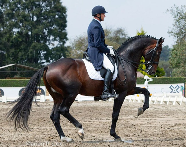 Enrique Palacios and Tinto competing in the big tour at the 2022 CDI San Miguel Ameyalco :: Photo © Marion Cox