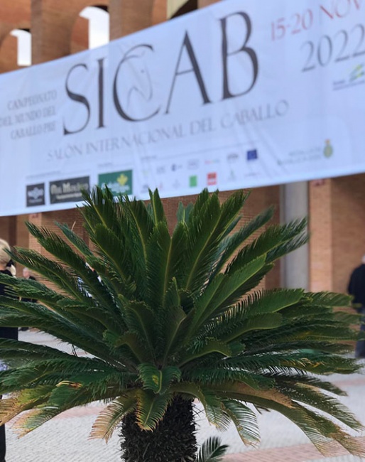 SICAB in Sevilla, Spain - an event you have to experience once in your lifetime !