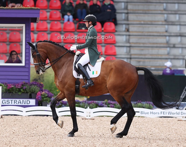 Alex Baker and Dutchman at the 2022 World Championships Dressage in Herning :: Photo © Astrid Appels